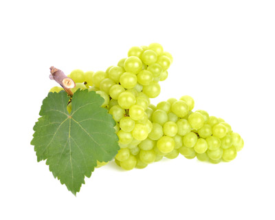 ensamblaje-uvas