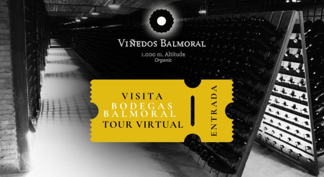 tour-virtual tour-virtual