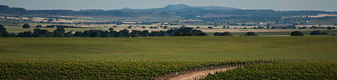 ecoresponsables ecoresponsables